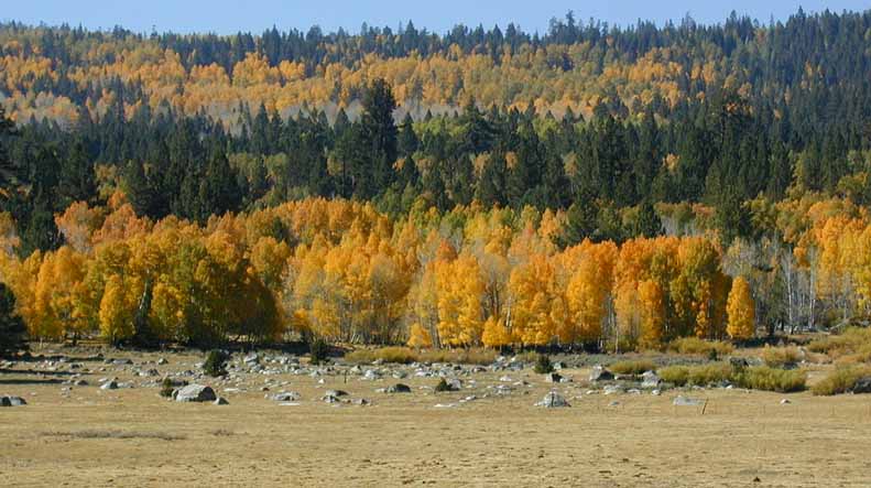 2004-10_carson_leaves_ranch_e_1.jpg