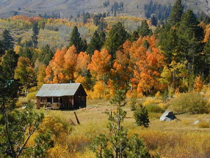 2004-10_carson_leaves_ranch_a_1.jpg