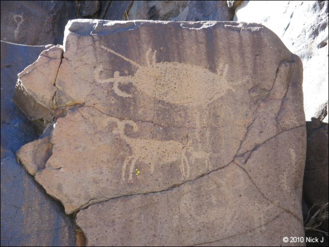 2010-10-09_picto-petro-glyph-inyo-nj-081.jpg