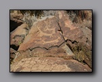 Click to enlarge 2010-10-09_picto-petro-glyph-inyo-sh-1859.jpg