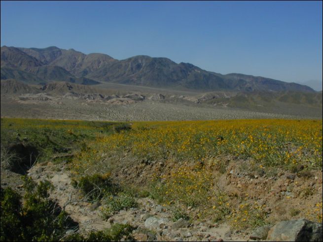 2005-03_mengelpass_01.jpg
