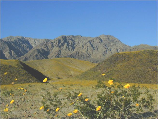 2005-03_deathv_22_flower.jpg