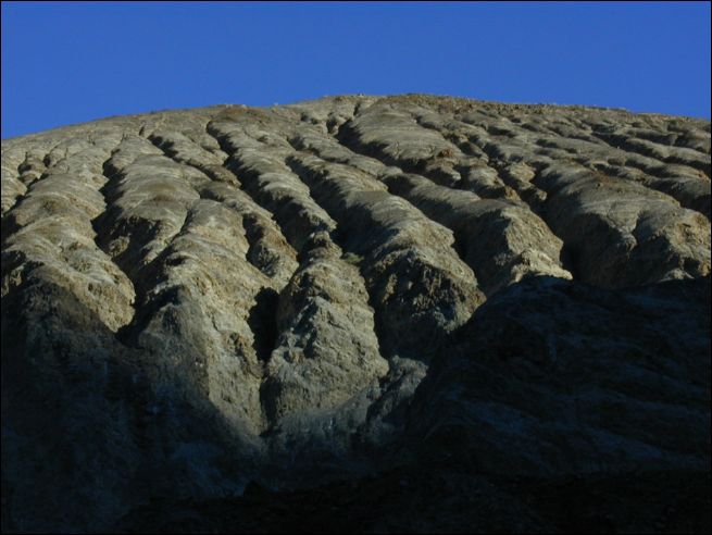 2005-03_panamint_11_surprise.jpg