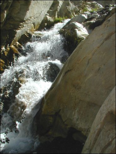 2005-03_panamint_12_surprise.jpg