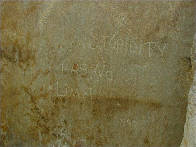 2005-03_panamint_13_surprise.jpg
