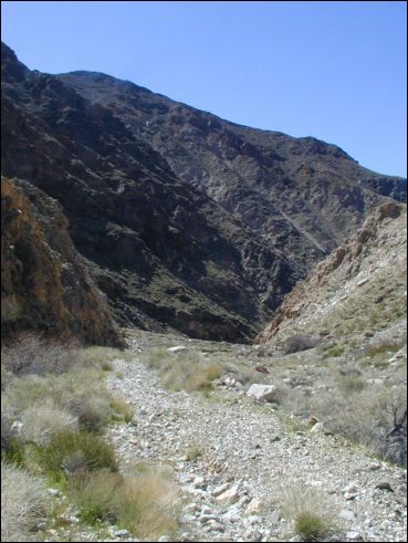 2005-03_panamint_14_surprise.jpg