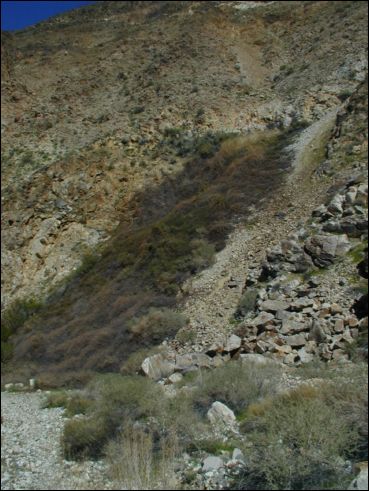 2005-03_panamint_17_surprise.jpg