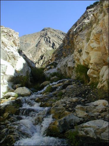 2005-03_panamint_18_surprise.jpg