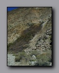 Click to enlarge 2005-03_panamint_17_surprise.jpg