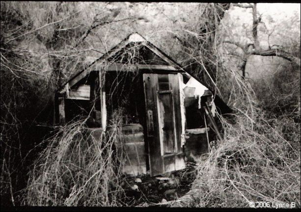 beveridge_mill_cabin_lb_17.jpg