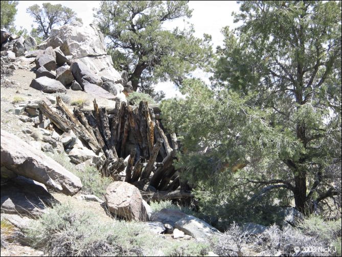 2008-04_inyo_saline_img_0091.jpg