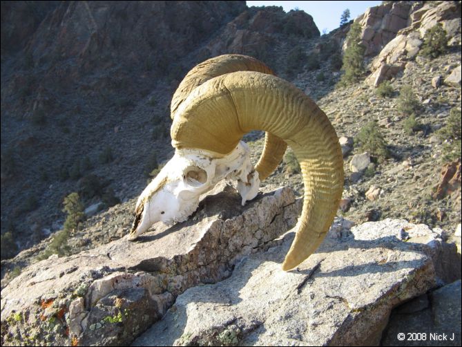 2008-04_inyo_saline_img_0071.jpg