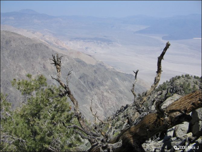 2008-04_inyo_saline_img_0092.jpg