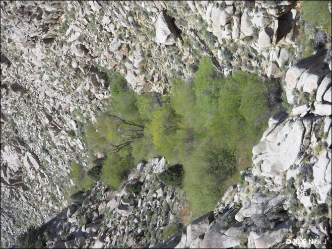 2008-04_inyo_saline_img_0124.jpg