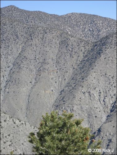 2008-04_inyo_saline_img_0135.jpg