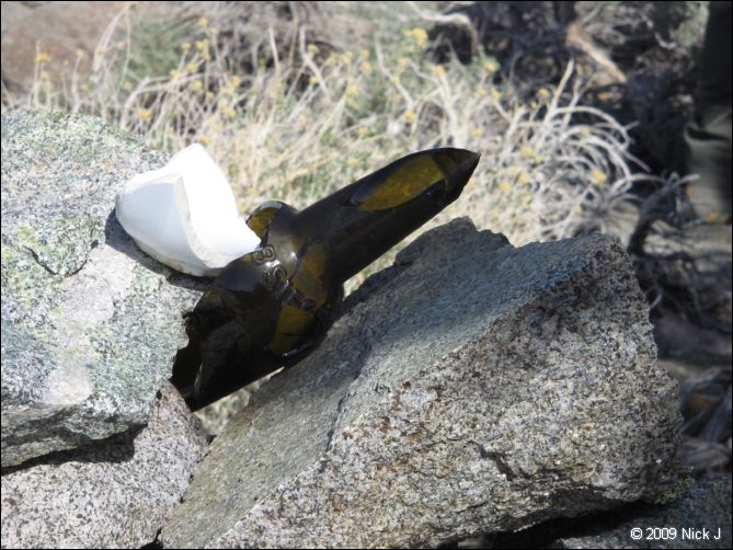 2009-04-inyo-lone-miner-nj-174.jpg