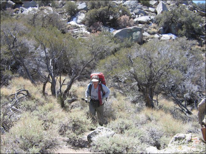 2009-04-inyo-lone-miner-nj-046.jpg