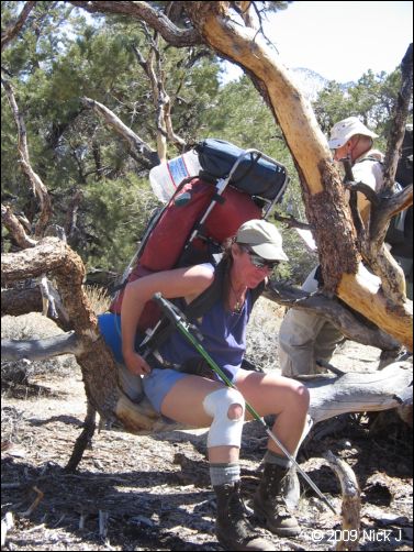 2009-04-inyo-lone-miner-nj-056.jpg