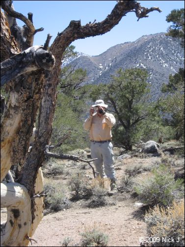 2009-04-inyo-lone-miner-nj-058.jpg