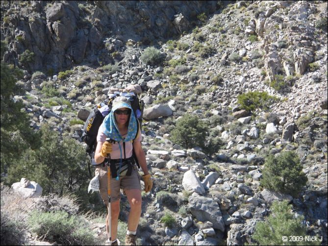 2009-04-inyo-lone-miner-nj-092.jpg