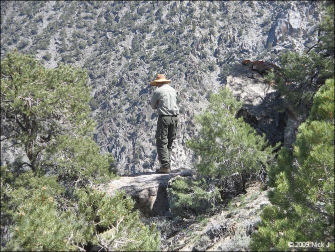 2009-04-inyo-lone-miner-nj-156.jpg