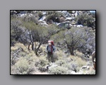 Click to enlarge 2009-04-inyo-lone-miner-nj-046.jpg