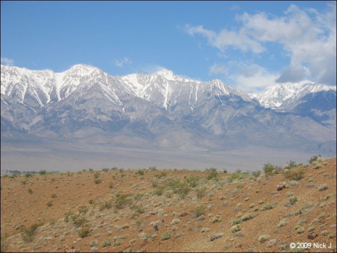 2009-04-inyo-lone-miner-nj-009.jpg