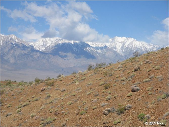 2009-04-inyo-lone-miner-nj-010.jpg