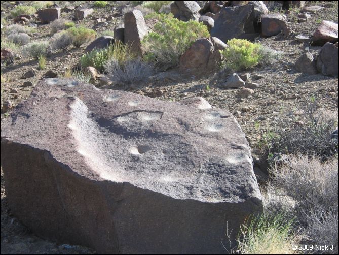 2009-04-inyo-lone-miner-nj-014.jpg