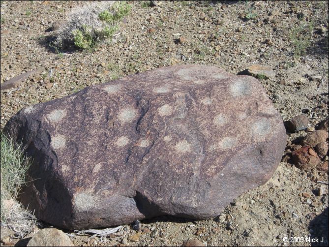 2009-04-inyo-lone-miner-nj-015.jpg