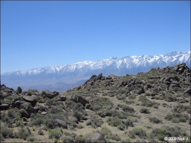 2009-04-inyo-lone-miner-nj-025.jpg