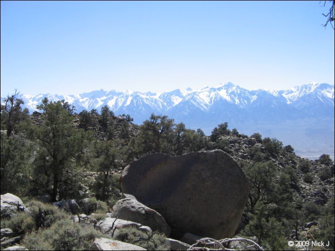 2009-04-inyo-lone-miner-nj-027.jpg