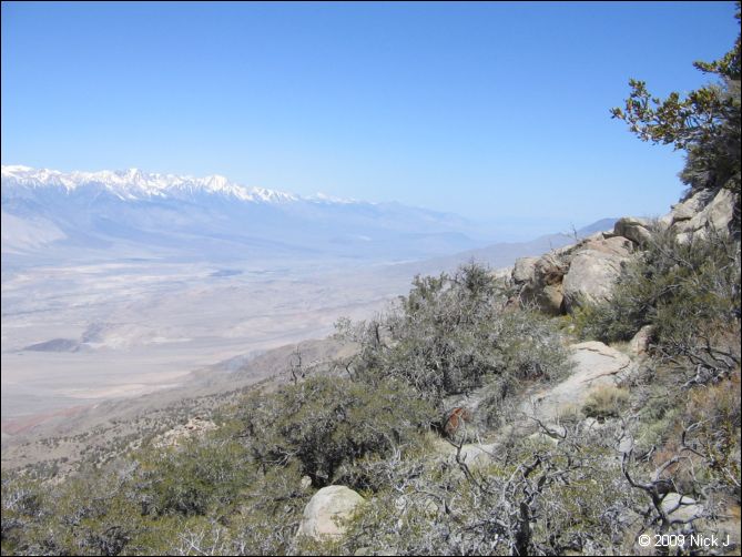 2009-04-inyo-lone-miner-nj-044.jpg