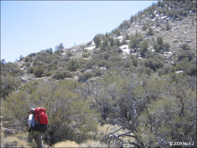 2009-04-inyo-lone-miner-nj-048.jpg