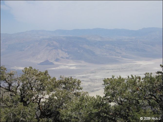 2009-04-inyo-lone-miner-nj-076.jpg