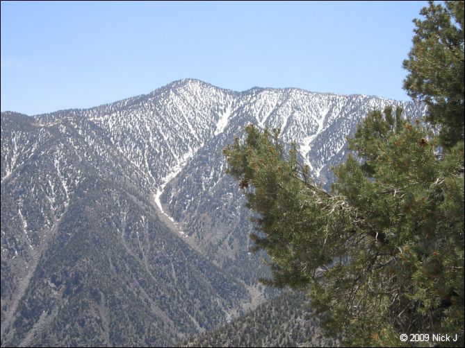2009-04-inyo-lone-miner-nj-077.jpg