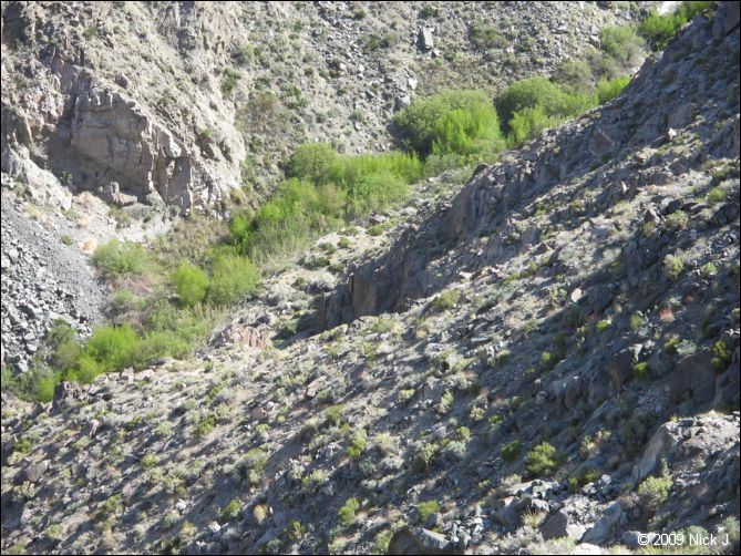 2009-04-inyo-lone-miner-nj-094.jpg