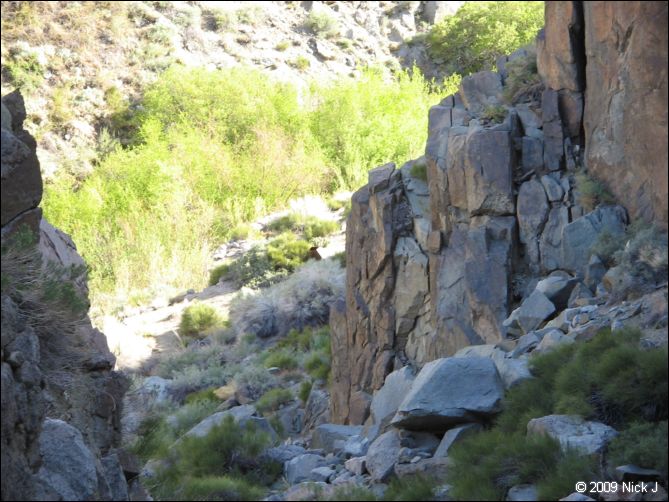 2009-04-inyo-lone-miner-nj-109.jpg
