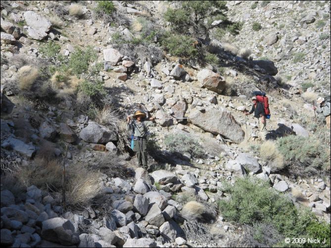 2009-04-inyo-lone-miner-nj-139.jpg