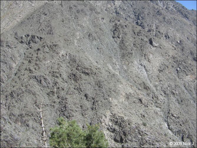 2009-04-inyo-lone-miner-nj-143.jpg