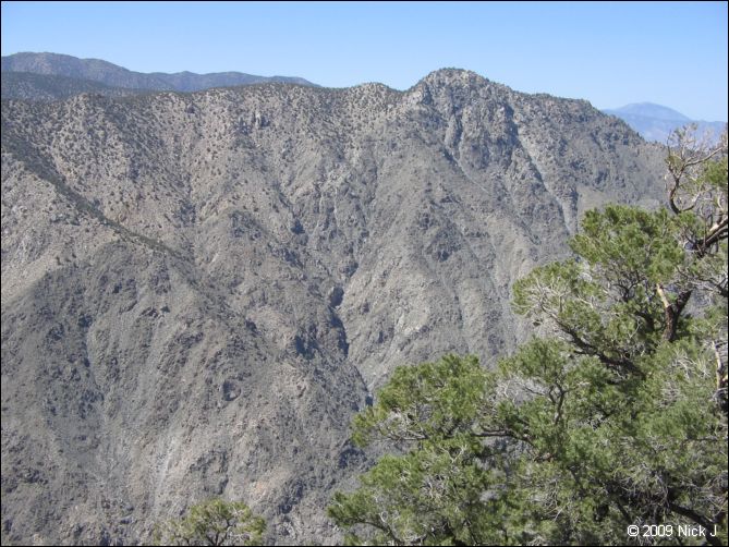 2009-04-inyo-lone-miner-nj-157.jpg