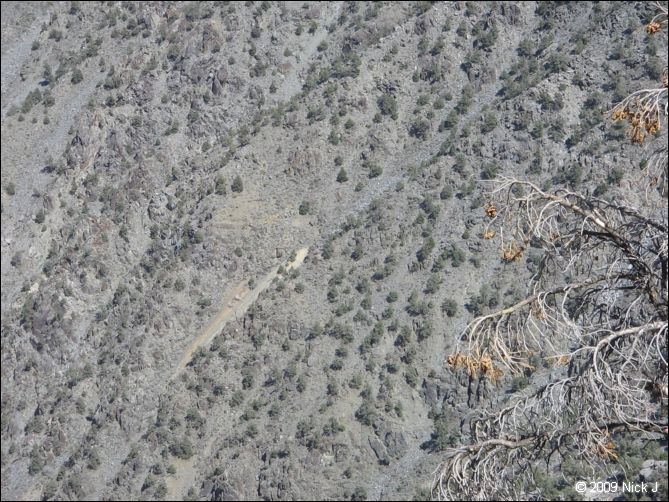 2009-04-inyo-lone-miner-nj-158.jpg