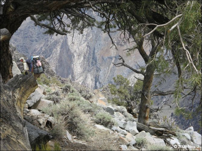 2009-04-inyo-lone-miner-nj-203.jpg