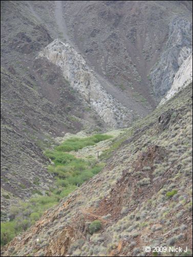 2009-04-inyo-lone-miner-nj-229.jpg