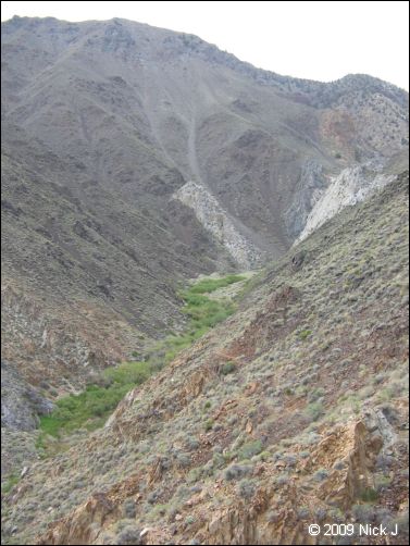 2009-04-inyo-lone-miner-nj-230.jpg