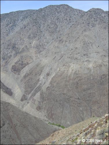 2009-04-inyo-lone-miner-nj-238.jpg