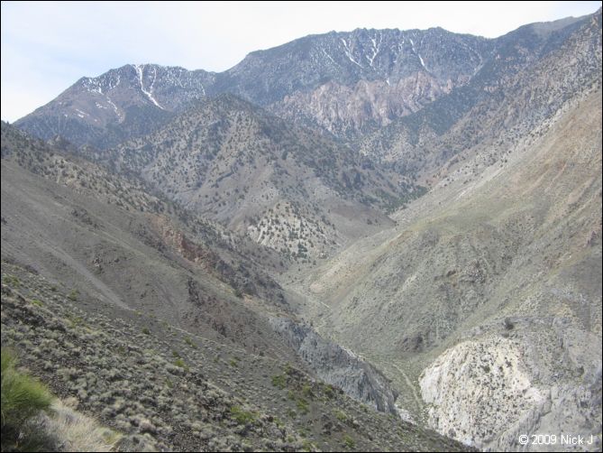 2009-04-inyo-lone-miner-nj-239.jpg