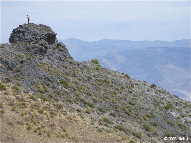 2009-04-inyo-lone-miner-nj-240.jpg