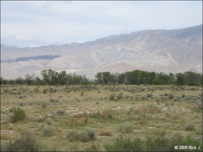 2009-04-inyo-lone-miner-nj-289.jpg