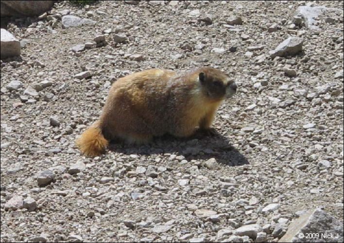 2009-07_jmt_evolution_228.jpg